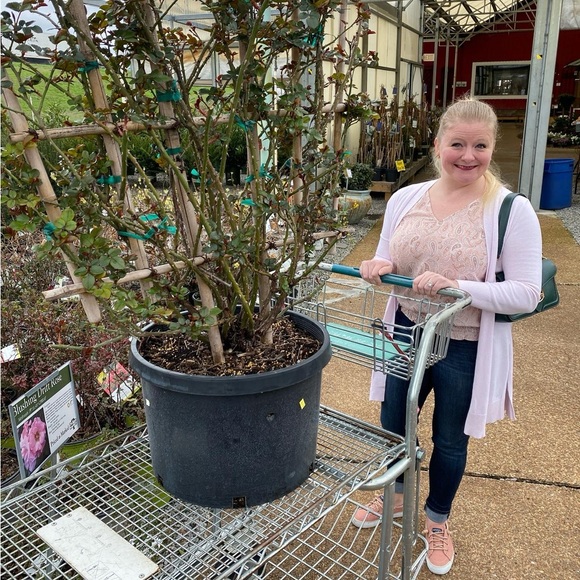 Meet your Posher, Julie - Picture 11 of 16